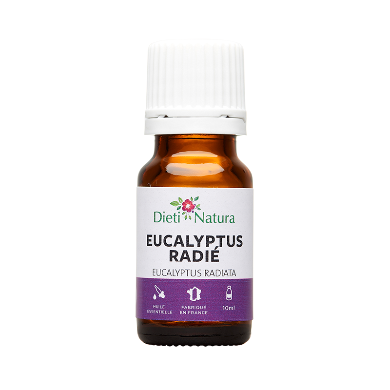 Aceite Eucalipto 15 ml. Propiedades antisépticas y descongestionantes.